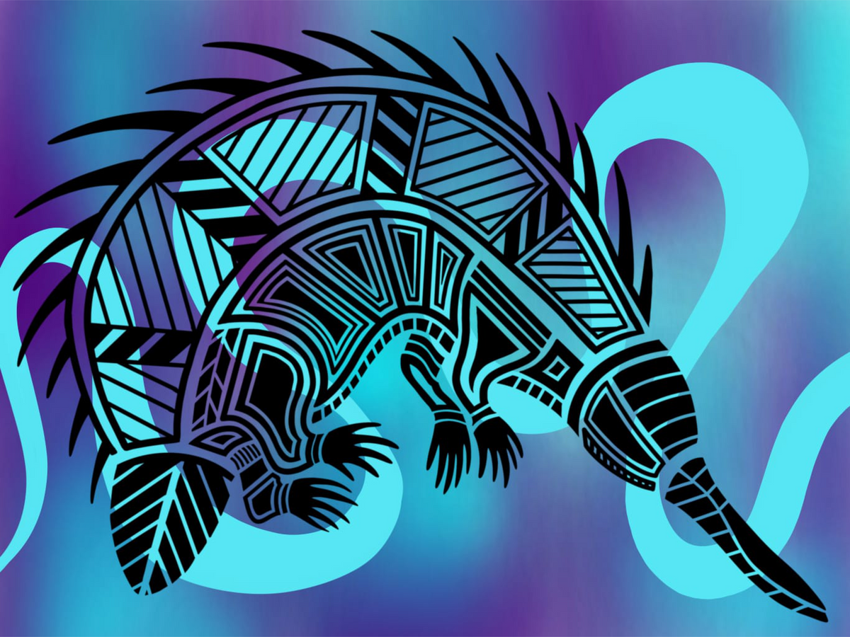 Echidna art