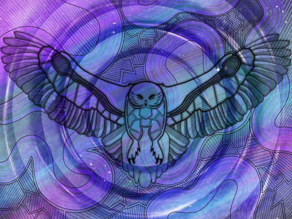 Owl art