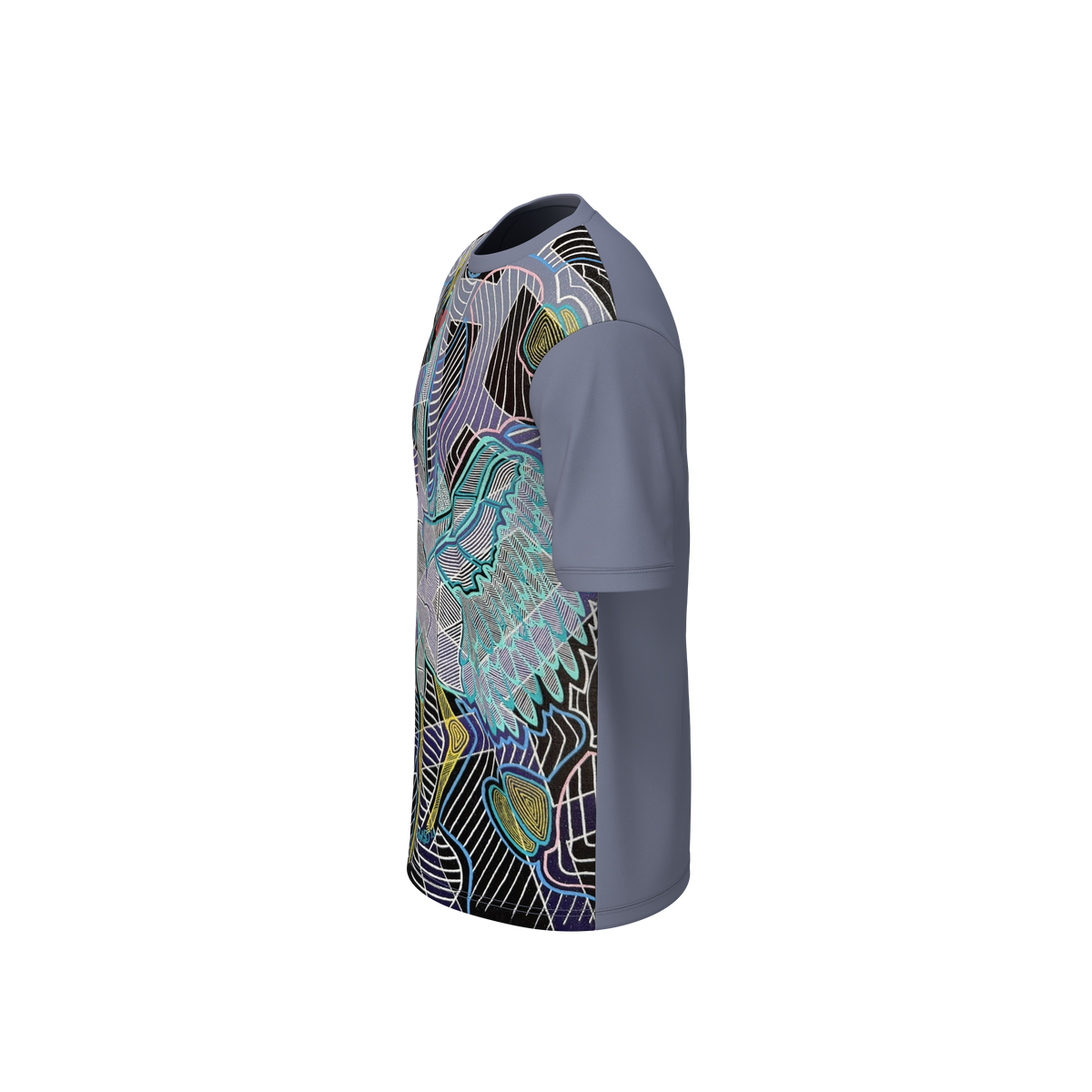 Brolga view 1