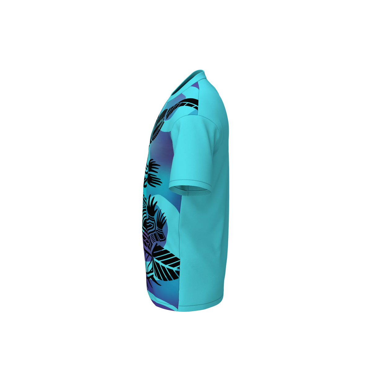Echidna view 2